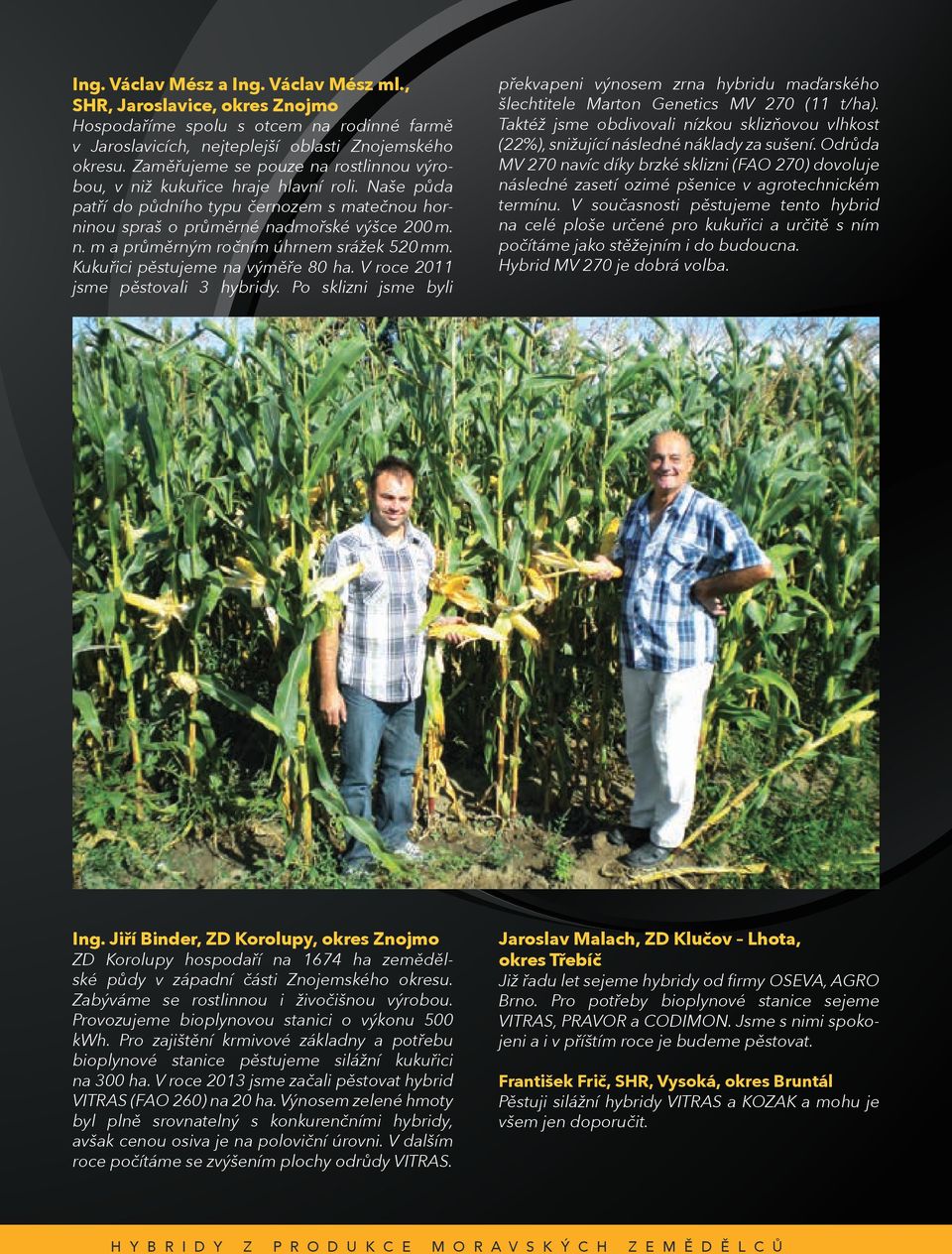 Kukuřici pěstujeme na výměře 80 ha. V roce 2011 jsme pěstovali 3 hybridy. Po sklizni jsme byli překvapeni výnosem zrna hybridu maďarského šlechtitele Marton Genetics MV 270 (11 t/ha).