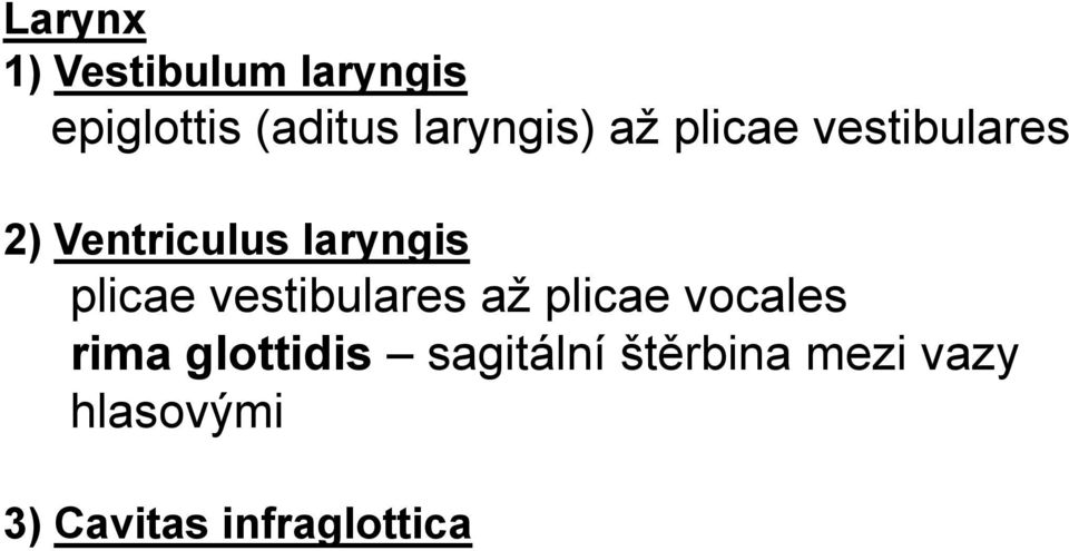 laryngis plicae vestibulares až plicae vocales rima