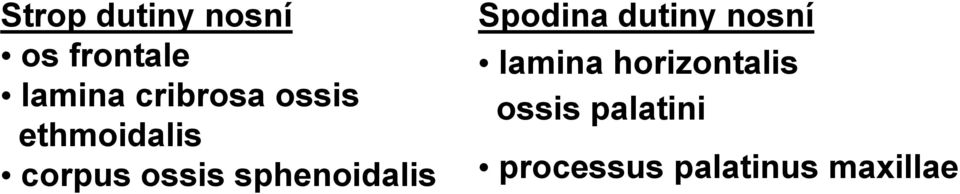 sphenoidalis Spodina dutiny nosní lamina