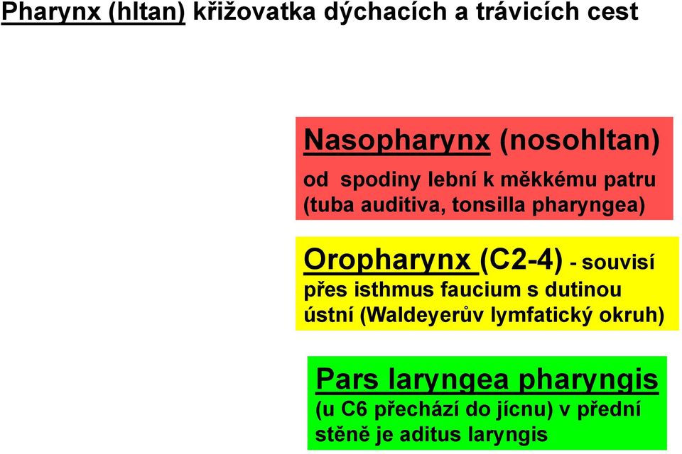 (C2-4) - souvisí přes isthmus faucium s dutinou ústní (Waldeyerův lymfatický