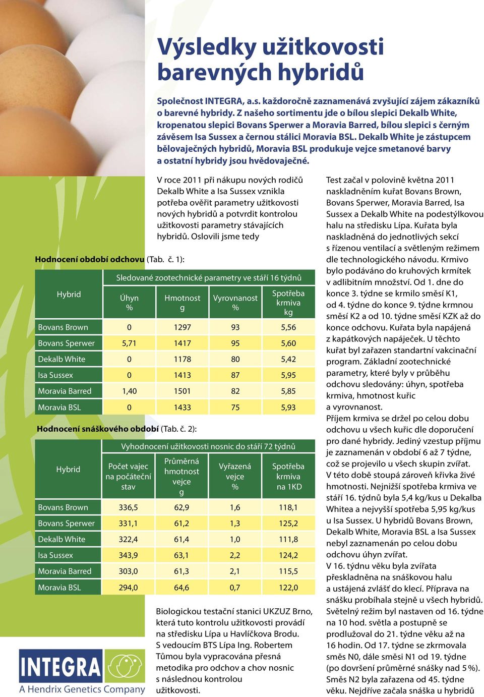Dekalb White je zástupcem bělovaječných hybridů, Moravia BSL produkuje vejce smetanové barvy a ostatní hybridy jsou hvědovaječné. Hodnocení období odchovu (Tab. č.