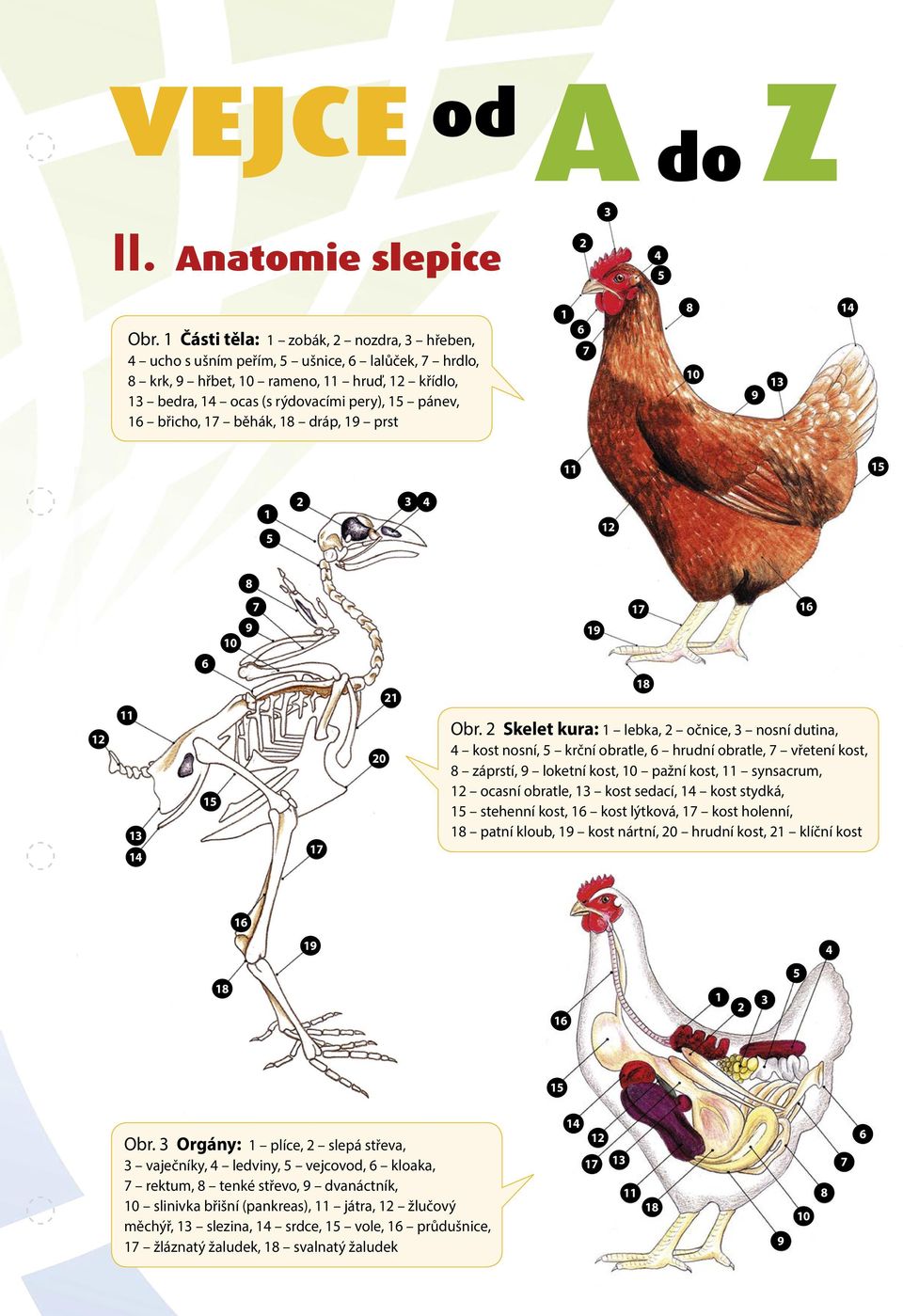 INfo OBSAH. Ročník 2013 Číslo 8. Vážení čtenáři, - PDF Free Download