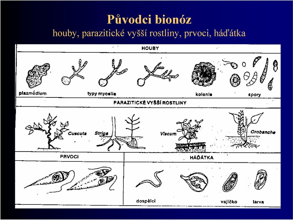 parazitické