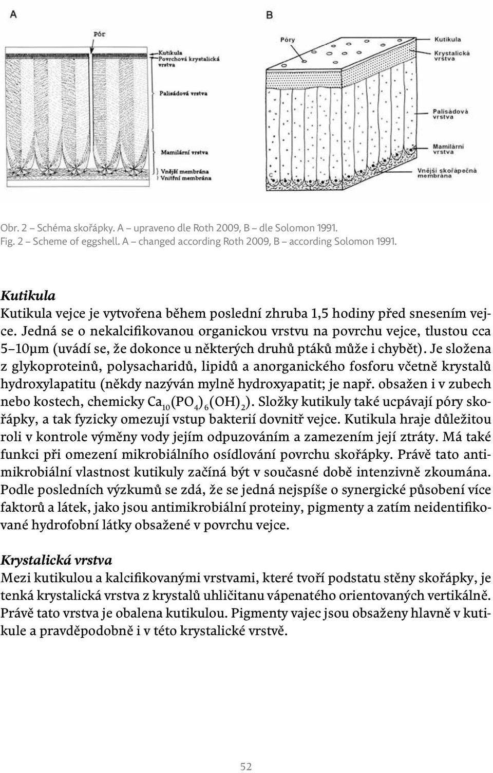 Jedná se o nekalcifikovanou organickou vrstvu na povrchu vejce, tlustou cca 5 10μm (uvádí se, že dokonce u některých druhů ptáků může i chybět).