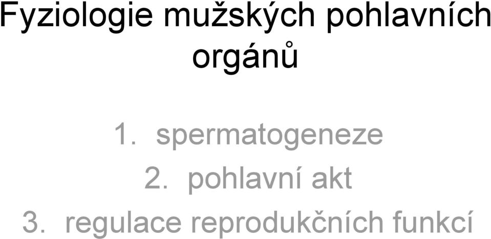 spermatogeneze 2.