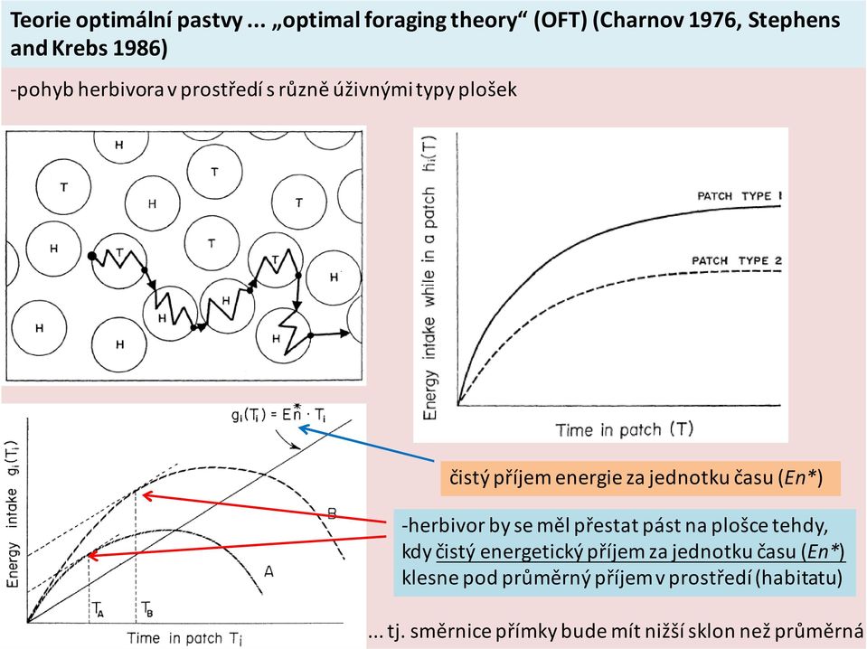 s různě úživnými typy plošek čistý příjem energie za jednotku času (En*) herbivor by se měl přestat