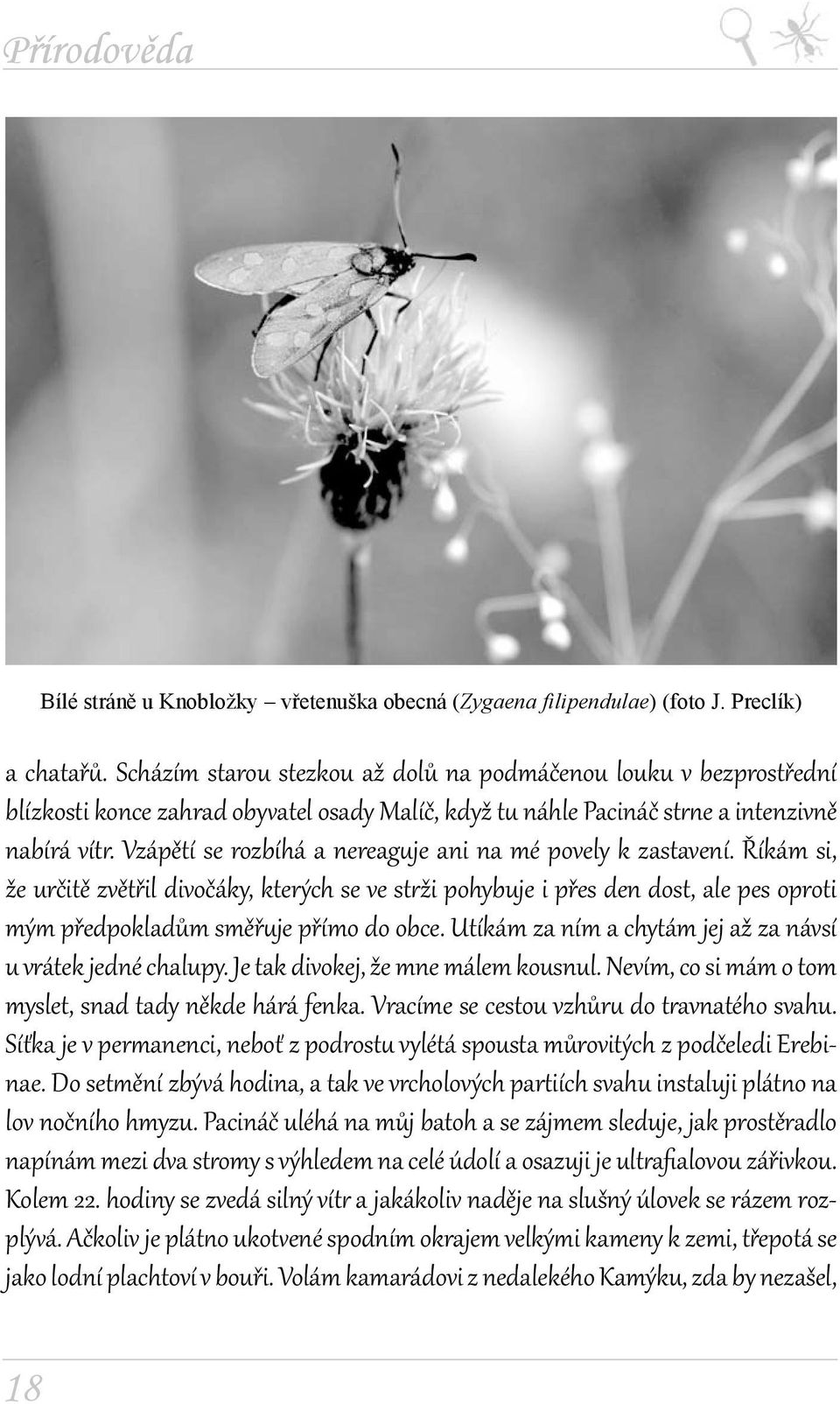 Vzápětí se rozbíhá a nereaguje ani na mé povely k zastavení. Říkám si, že určitě zvětřil divočáky, kterých se ve strži pohybuje i přes den dost, ale pes oproti mým předpokladům směřuje přímo do obce.