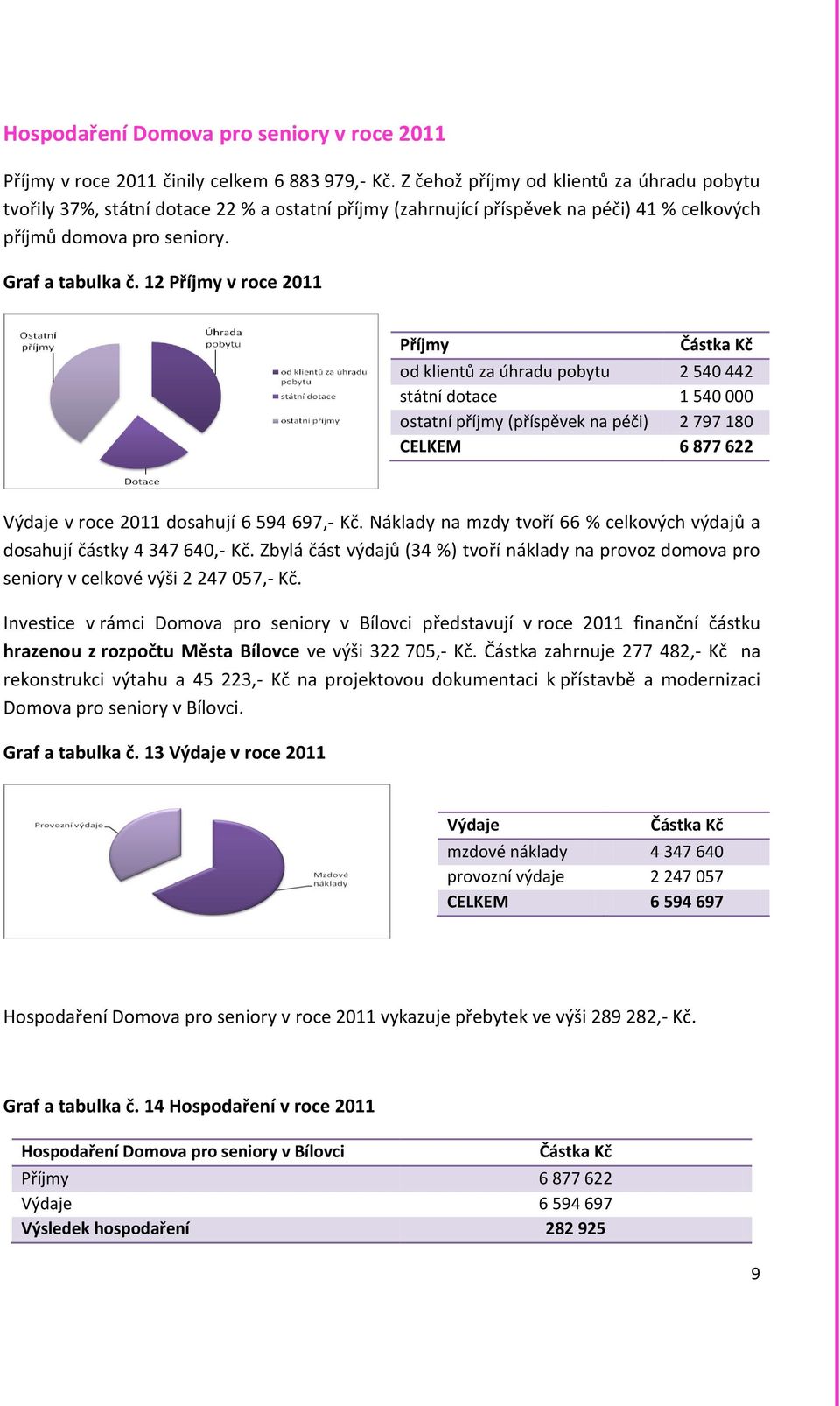 12 Příjmy v roce 2011 Příjmy Částka Kč od klientů za úhradu pobytu 2 540 442 státní dotace 1 540 000 ostatní příjmy (příspěvek na péči) 2 797 180 CELKEM 6 877 622 Výdaje v roce 2011 dosahují 6 594