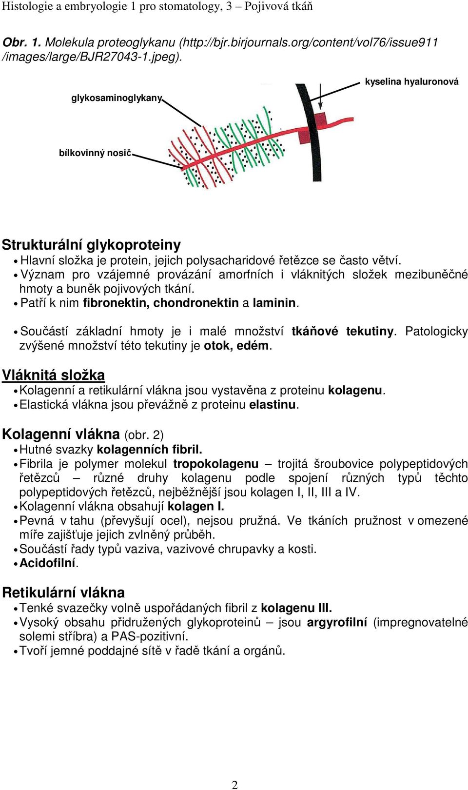 Význam pro vzájemné provázání amorfních i vláknitých složek mezibuněčné hmoty a buněk pojivových tkání. Patří k nim fibronektin, chondronektin a laminin.