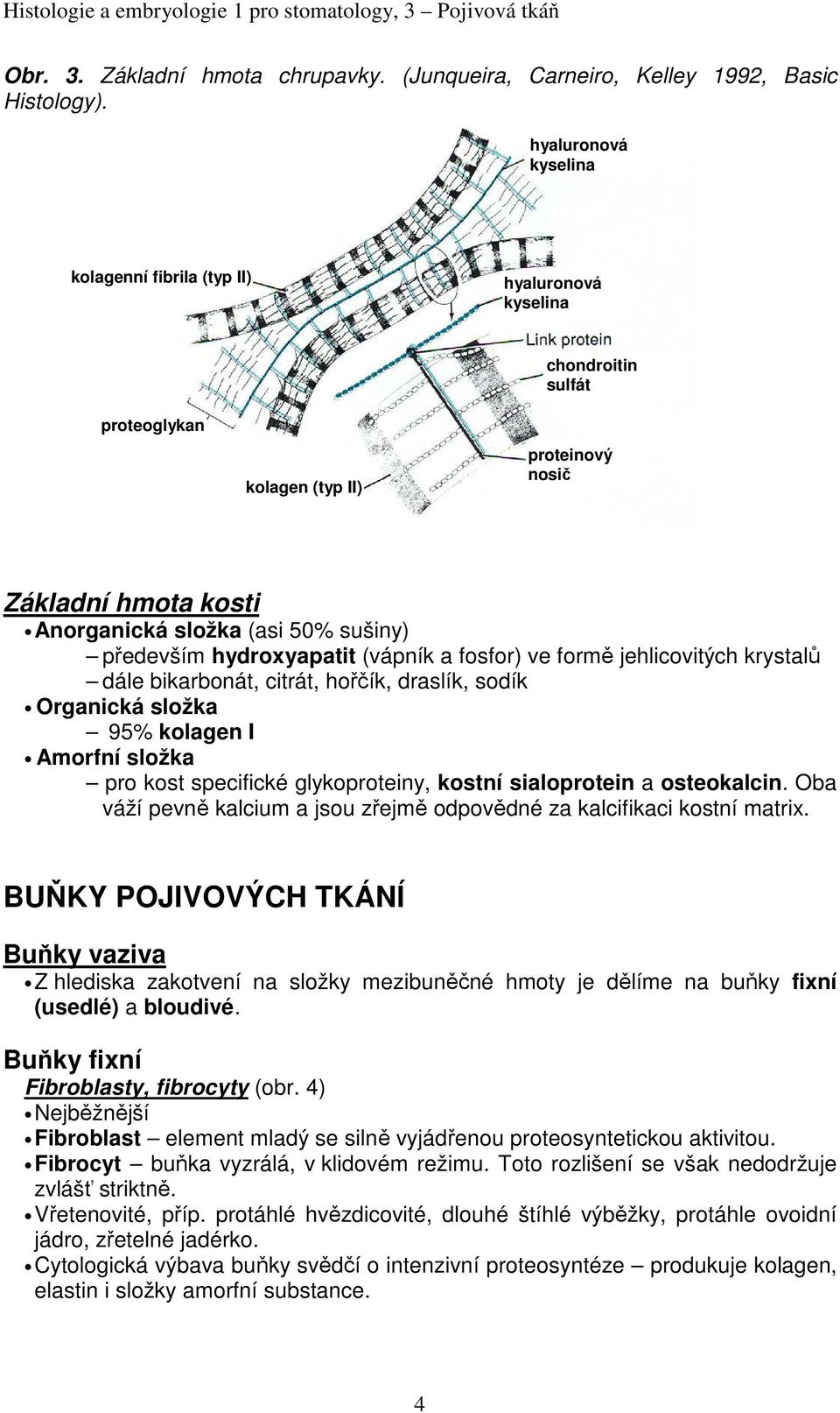 především hydroxyapatit (vápník a fosfor) ve formě jehlicovitých krystalů dále bikarbonát, citrát, hořčík, draslík, sodík Organická složka 95% kolagen I Amorfní složka pro kost specifické