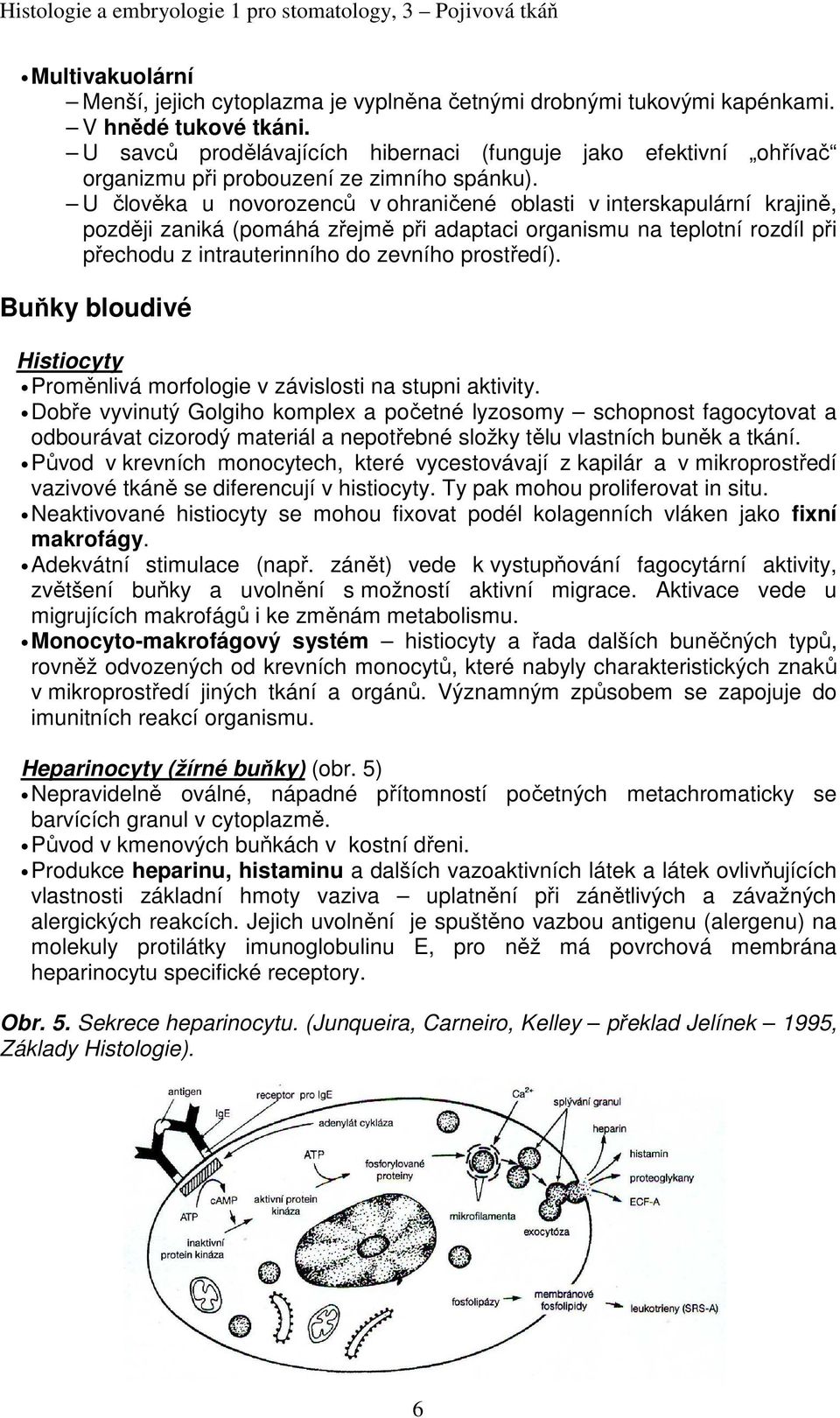 U člověka u novorozenců v ohraničené oblasti v interskapulární krajině, později zaniká (pomáhá zřejmě při adaptaci organismu na teplotní rozdíl při přechodu z intrauterinního do zevního prostředí).