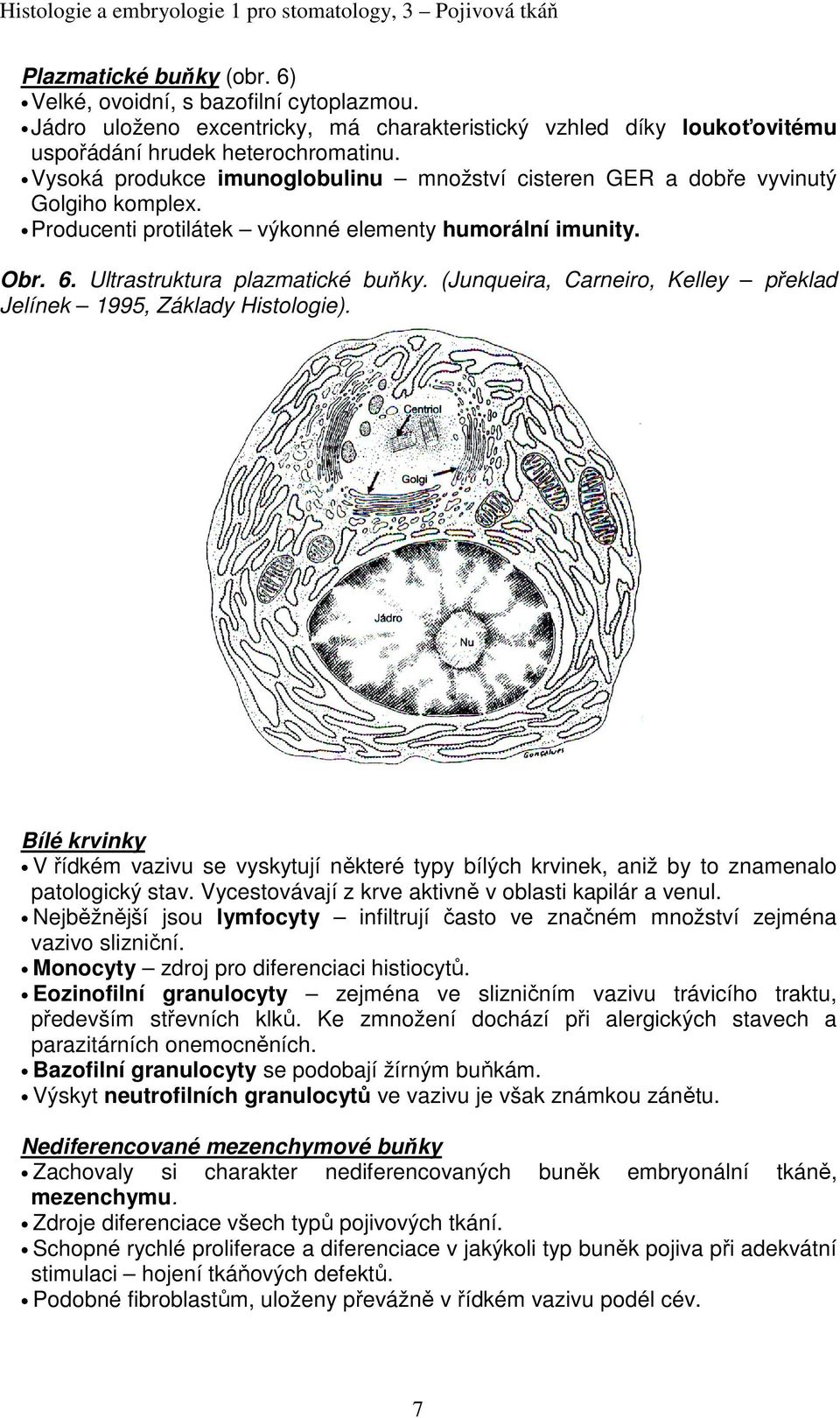 (Junqueira, Carneiro, Kelley překlad Jelínek 1995, Základy Histologie). Bílé krvinky V řídkém vazivu se vyskytují některé typy bílých krvinek, aniž by to znamenalo patologický stav.