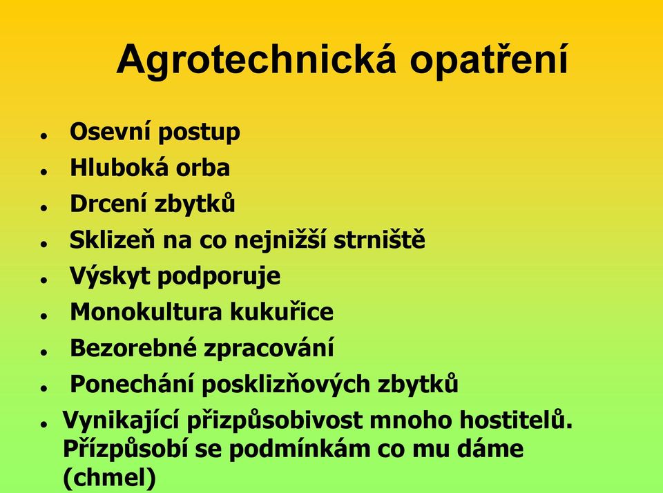 kukuřice Bezorebné zpracování Ponechání posklizňových zbytků