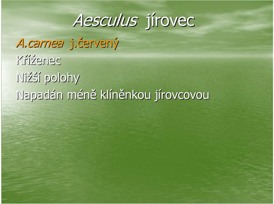 červený Kříženec Nižší