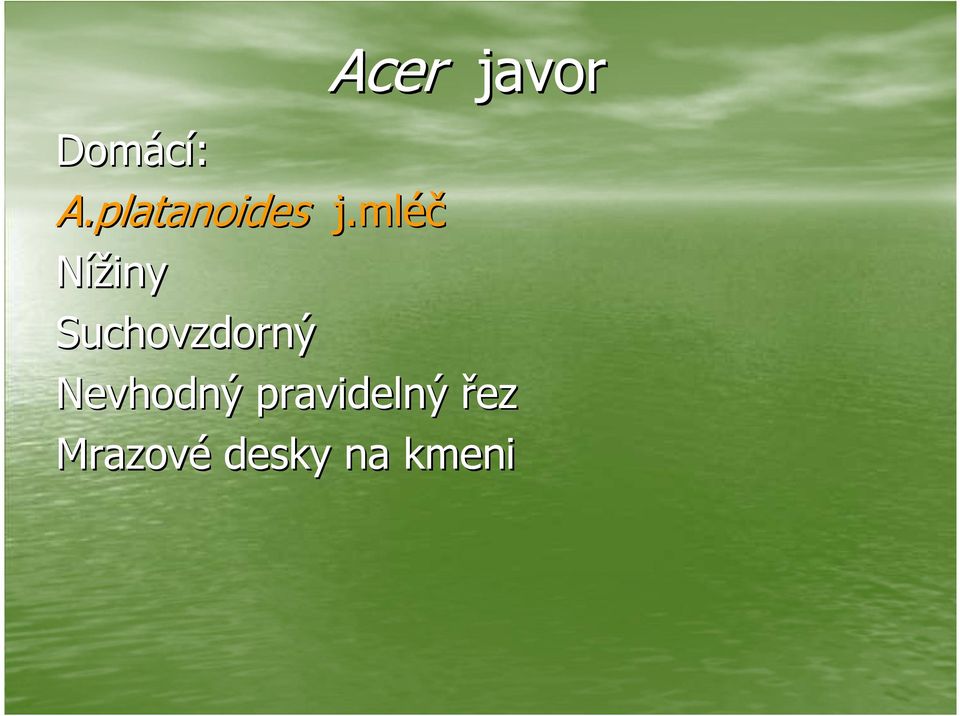 mléč Nížiny Suchovzdorný