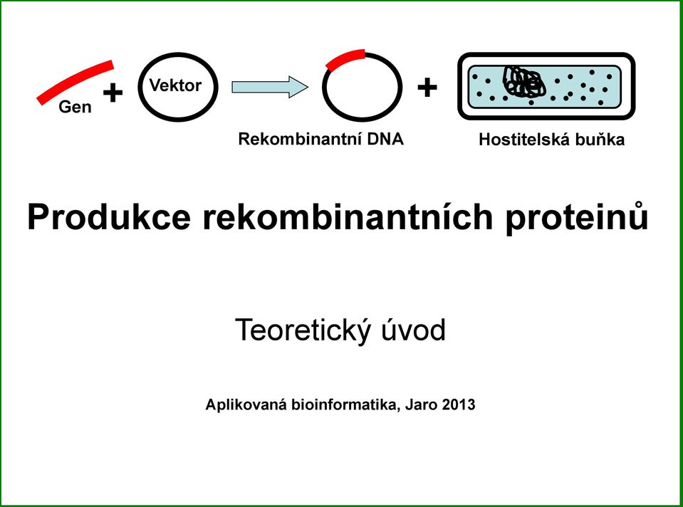 rekombinantních proteinů