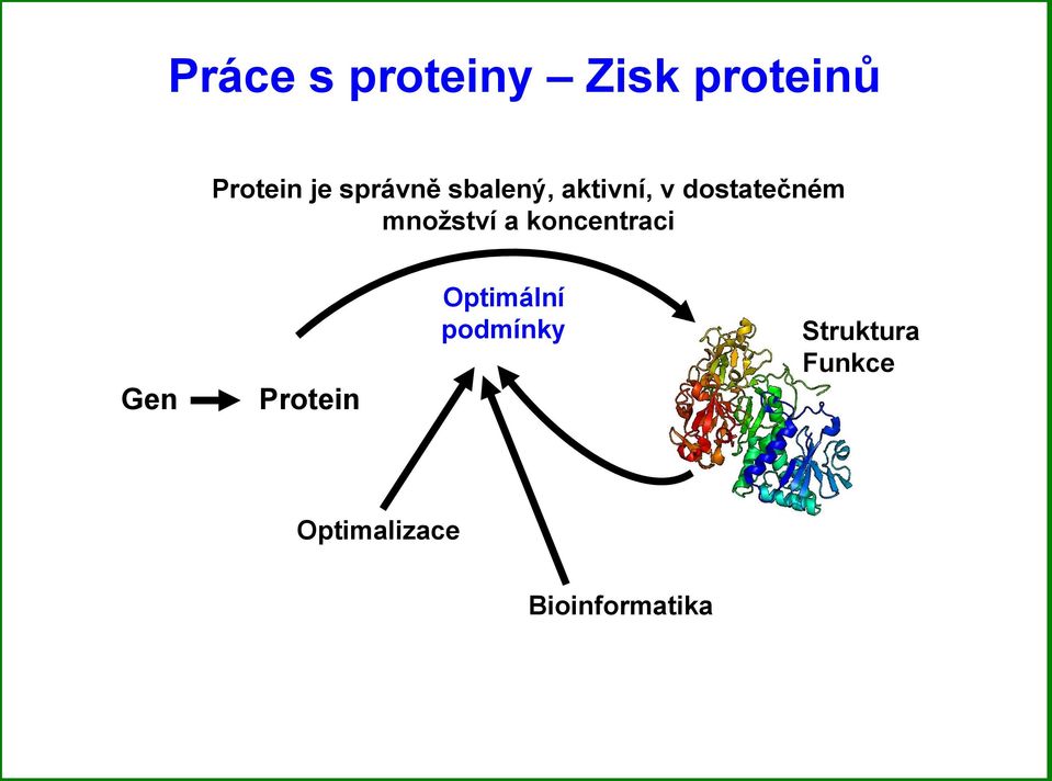 mnoţství a koncentraci Gen Protein Optimální