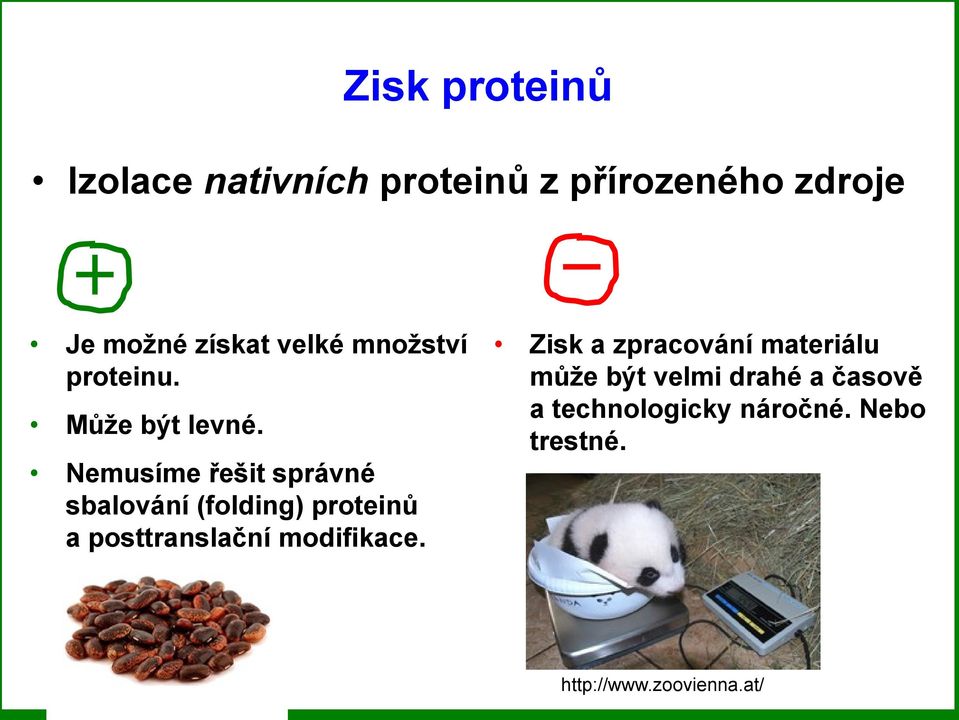 Nemusíme řešit správné sbalování (folding) proteinů a posttranslační modifikace.