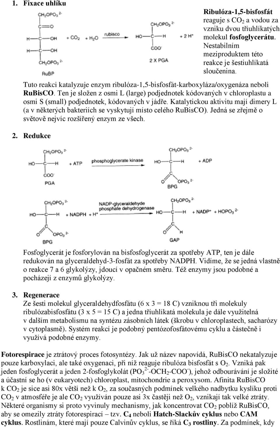 Ten je složen z osmi L (large) podjednotek kódovaných v chloroplastu a osmi S (small) podjednotek, kódovaných v jádře.