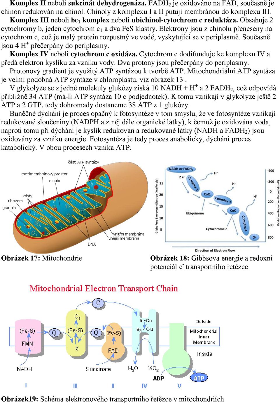 Elektrony jsou z chinolu přeneseny na cytochrom c, což je malý protein rozpustný ve vodě, vyskytující se v periplasmě. Současně jsou 4 H + přečerpány do periplasmy.