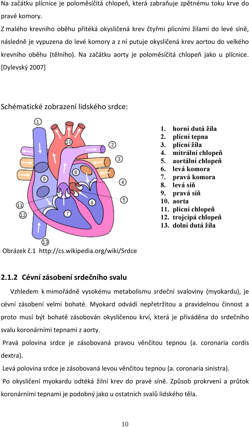 Na začátku aorty je poloměsíčitá chlopeň jako u plícnice. [Dylevský 2007] Schématické zobrazení lidského srdce: 1. horní dutá žíla 2. plícní tepna 3. plícní žíla 4. mitrální chlopeň 5.