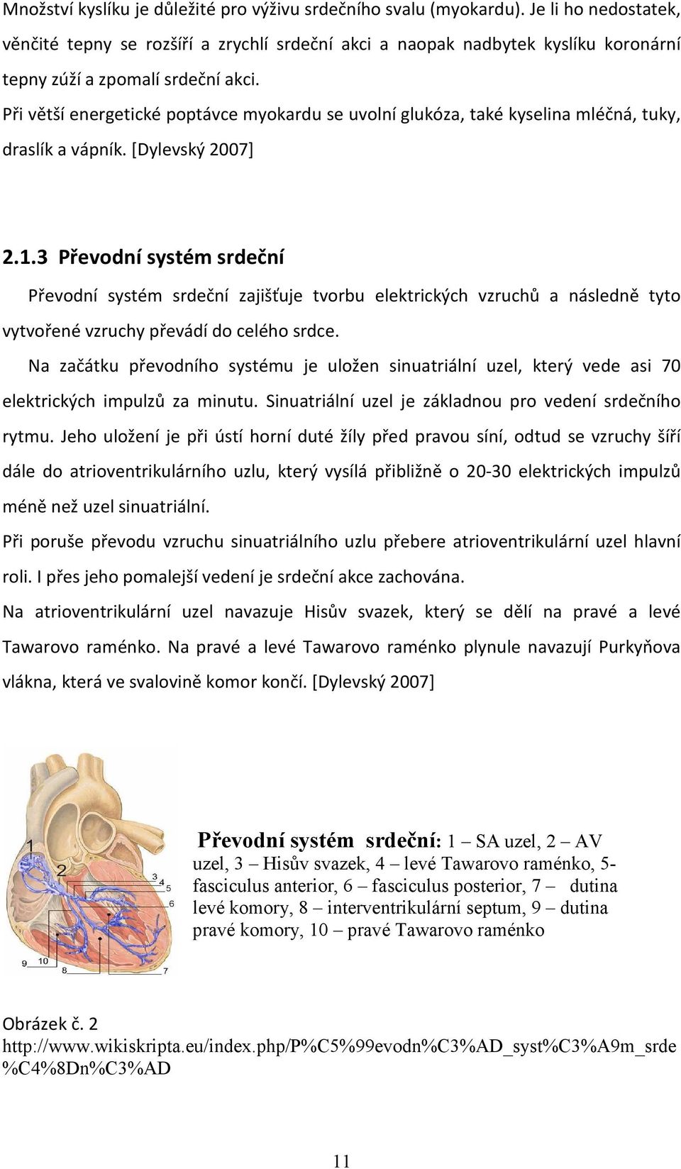 Při větší energetické poptávce myokardu se uvolní glukóza, také kyselina mléčná, tuky, draslík a vápník. [Dylevský 2007] 2.1.