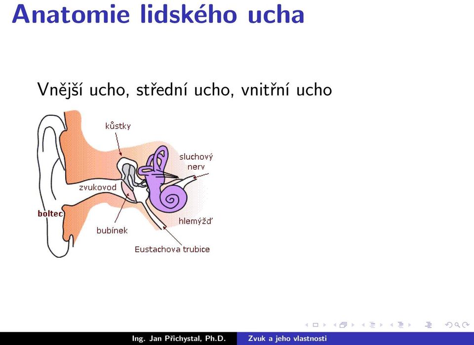 Vnější ucho,