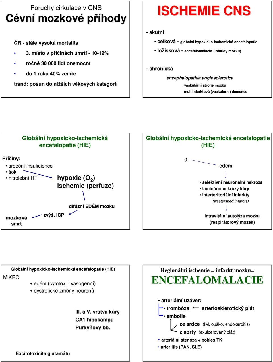 lní hypoxicko-ischemick ischemická encefalopatie encefalomalacie (infarkty mozku) encephalopathia angiosclerotica vaskulárn rní atrofie mozku multiinfarktová (vaskulárn rní) ) demence Globáln lní