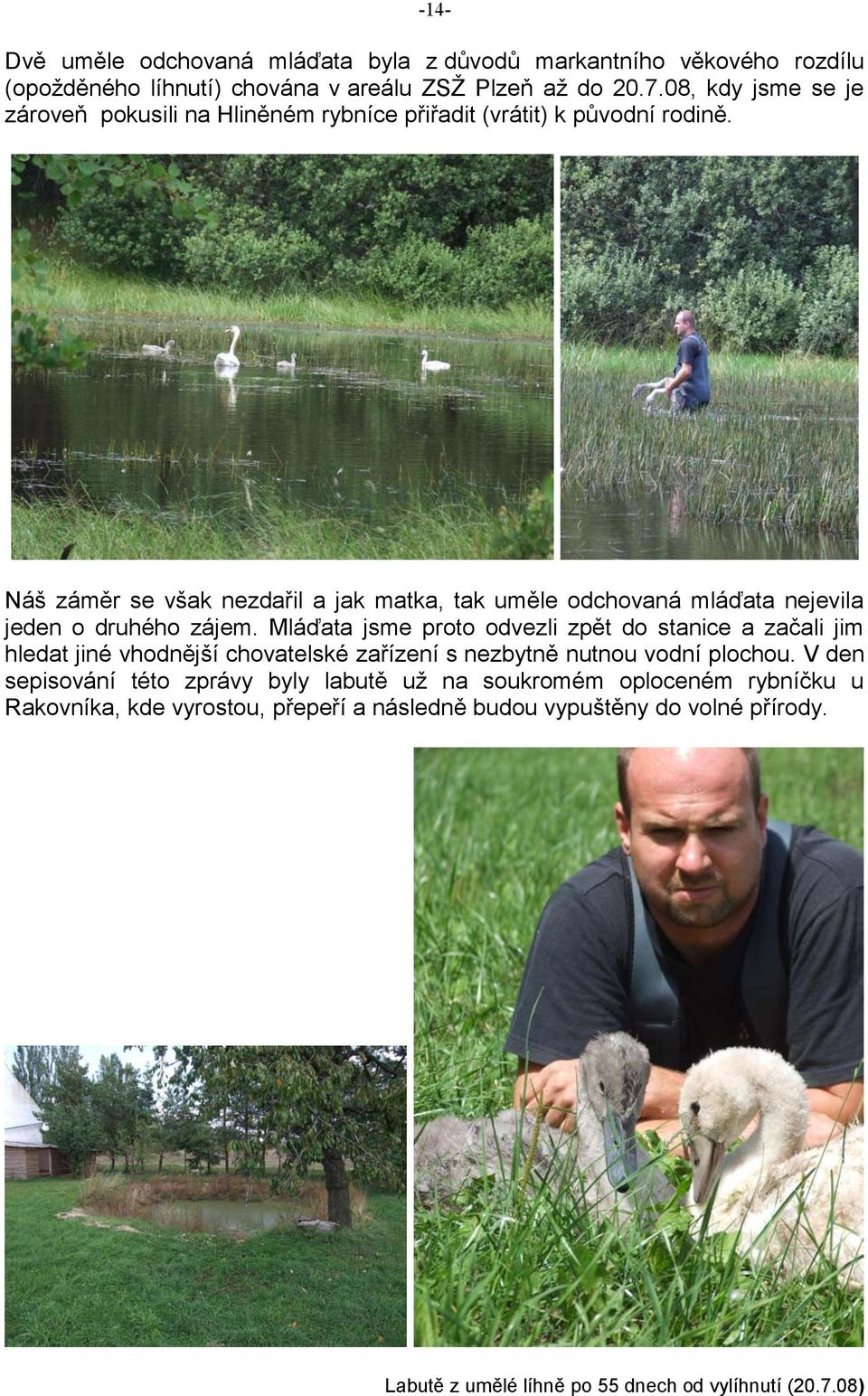Náš záměr se však nezdařil a jak matka, tak uměle odchovaná mláďata nejevila jeden o druhého zájem.