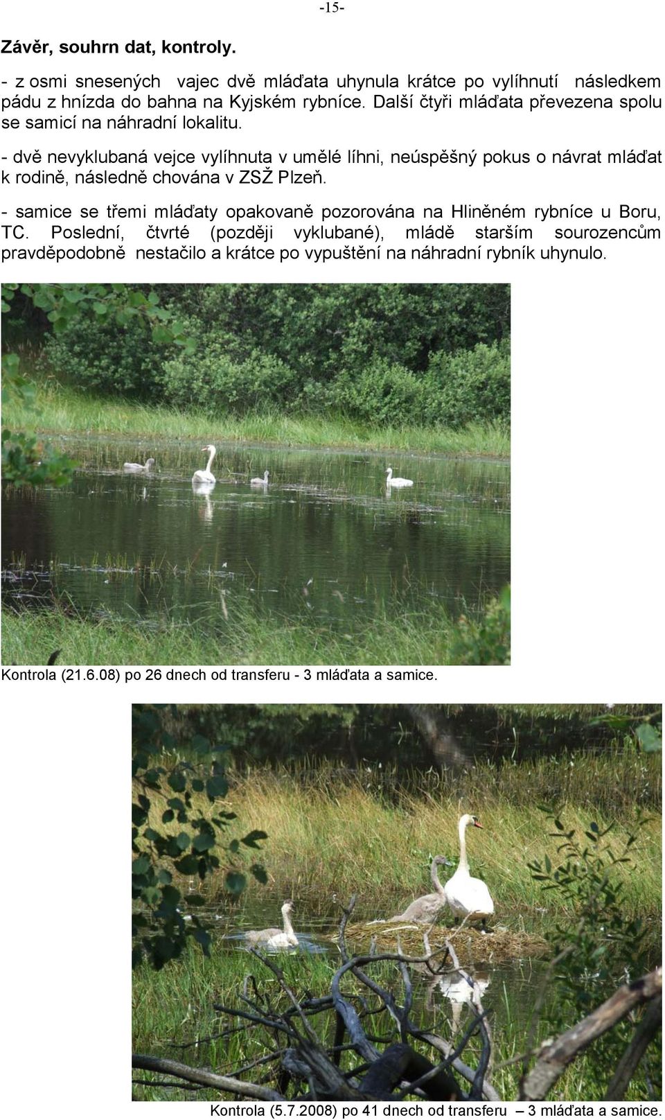 - dvě nevyklubaná vejce vylíhnuta v umělé líhni, neúspěšný pokus o návrat mláďat k rodině, následně chována v ZSŽ Plzeň.