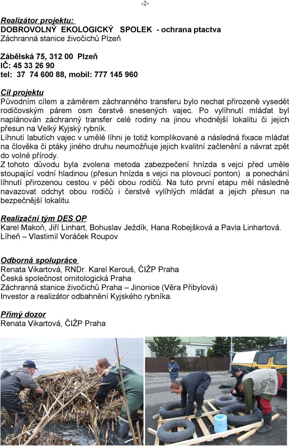 Po vylíhnutí mláďat byl naplánován záchranný transfer celé rodiny na jinou vhodnější lokalitu či jejich přesun na Velký Kyjský rybník.