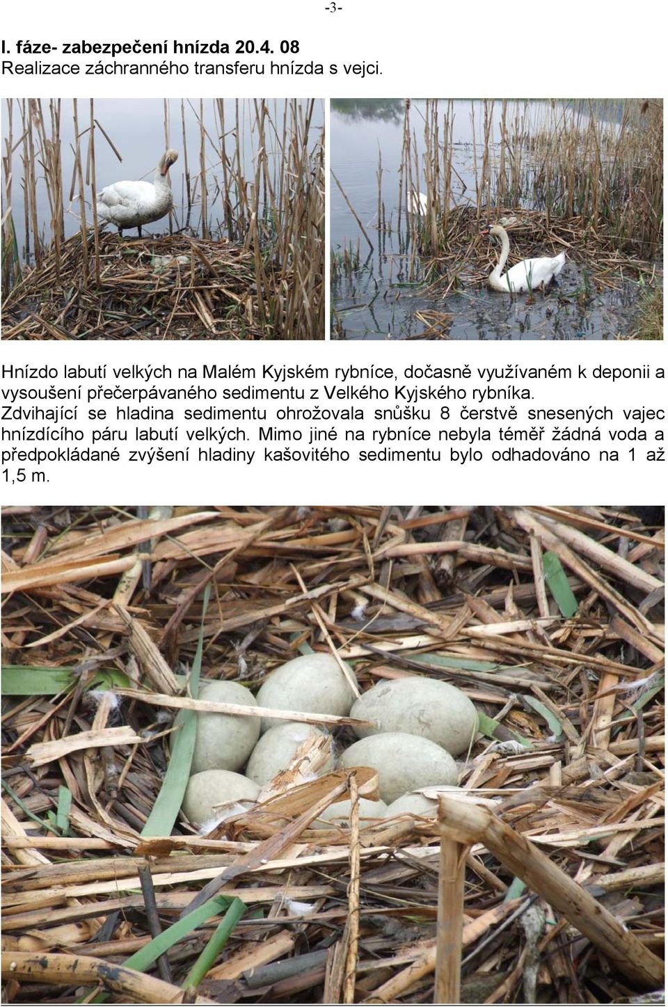 Velkého Kyjského rybníka.