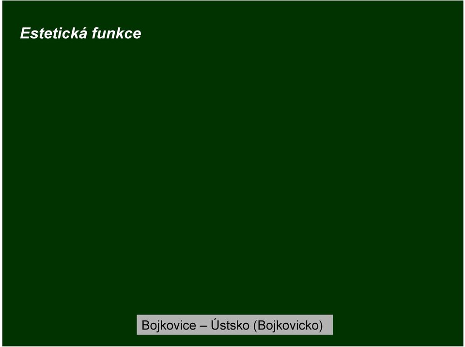 Bojkovice