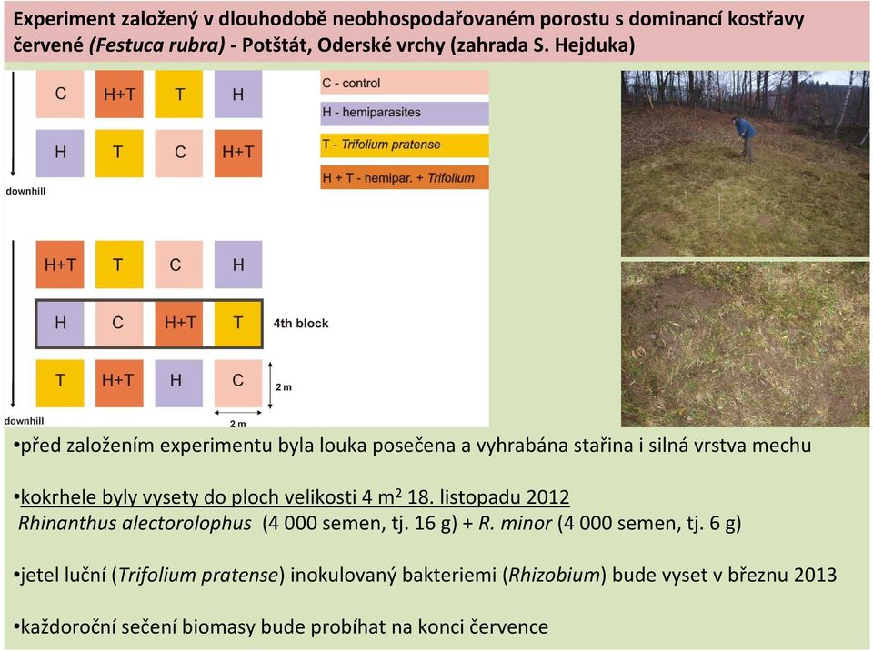 Hejduka) před založením experimentu byla louka posečena a vyhrabána stařina i silná vrstva mechu kokrhele byly vysety do ploch