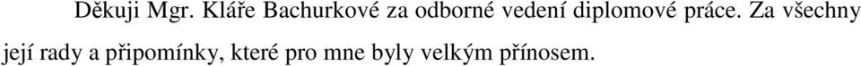 vedení diplomové práce.