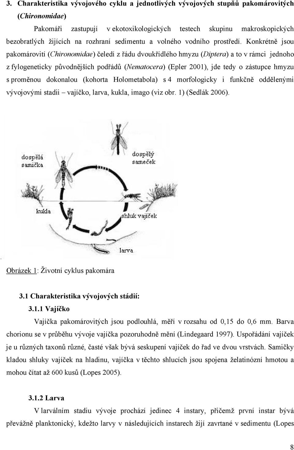Konkrétně jsou pakomárovití (Chironomidae) čeledí z řádu dvoukřídlého hmyzu (Diptera) a to v rámci jednoho z fylogeneticky původnějších podřádů (Nematocera) (Epler 2001), jde tedy o zástupce hmyzu s