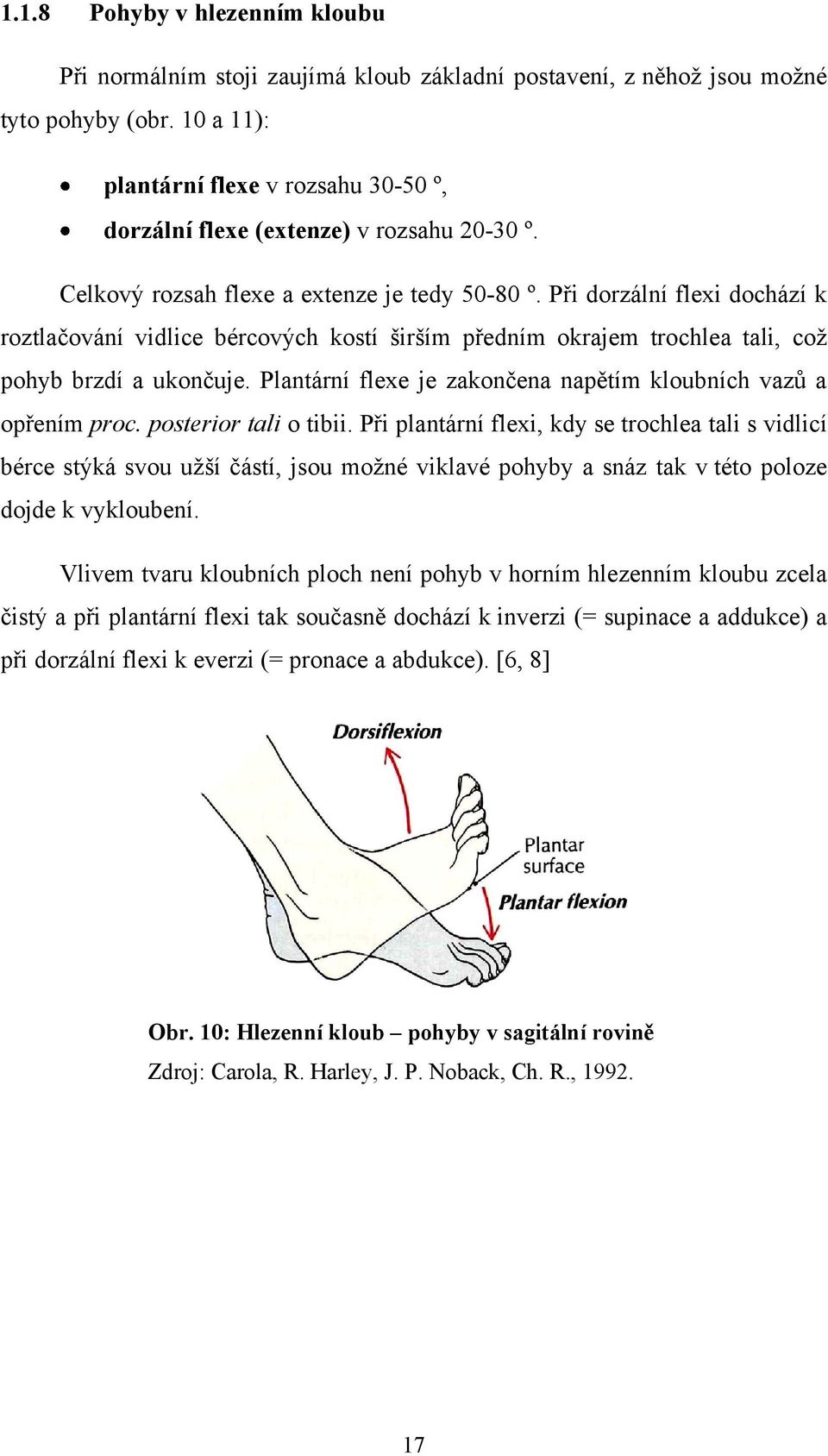 Při dorzální flexi dochází k roztlačování vidlice bércových kostí širším předním okrajem trochlea tali, coţ pohyb brzdí a ukončuje. Plantární flexe je zakončena napětím kloubních vazů a opřením proc.