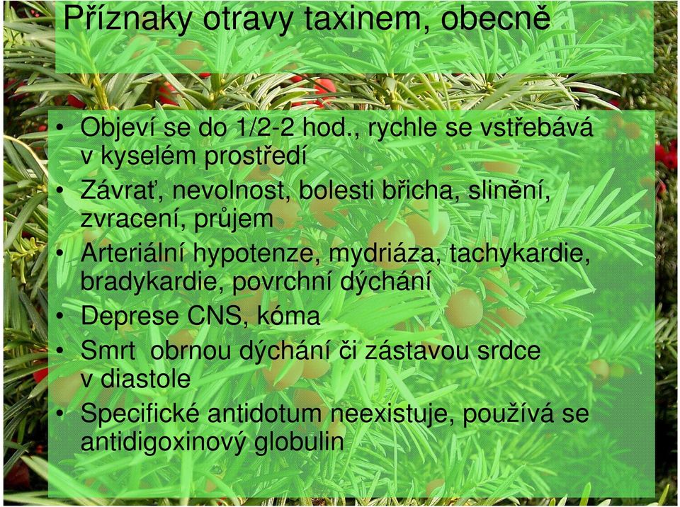 zvracení, průjem Arteriální hypotenze, mydriáza, tachykardie, bradykardie, povrchní dýchání