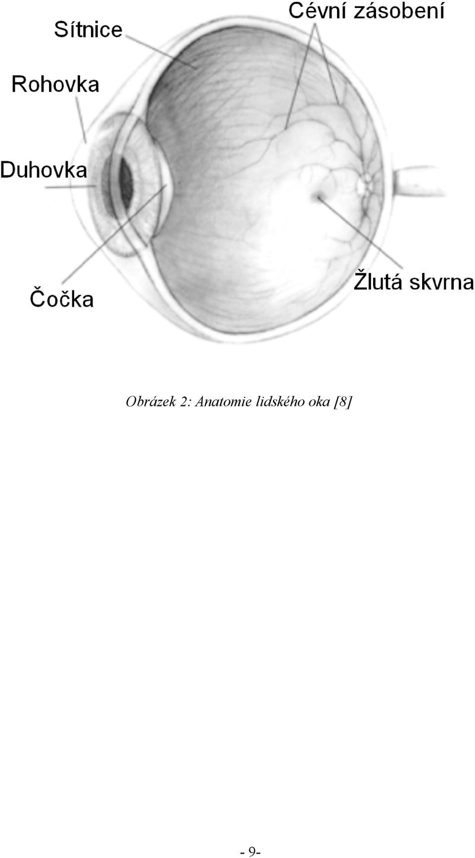lidského
