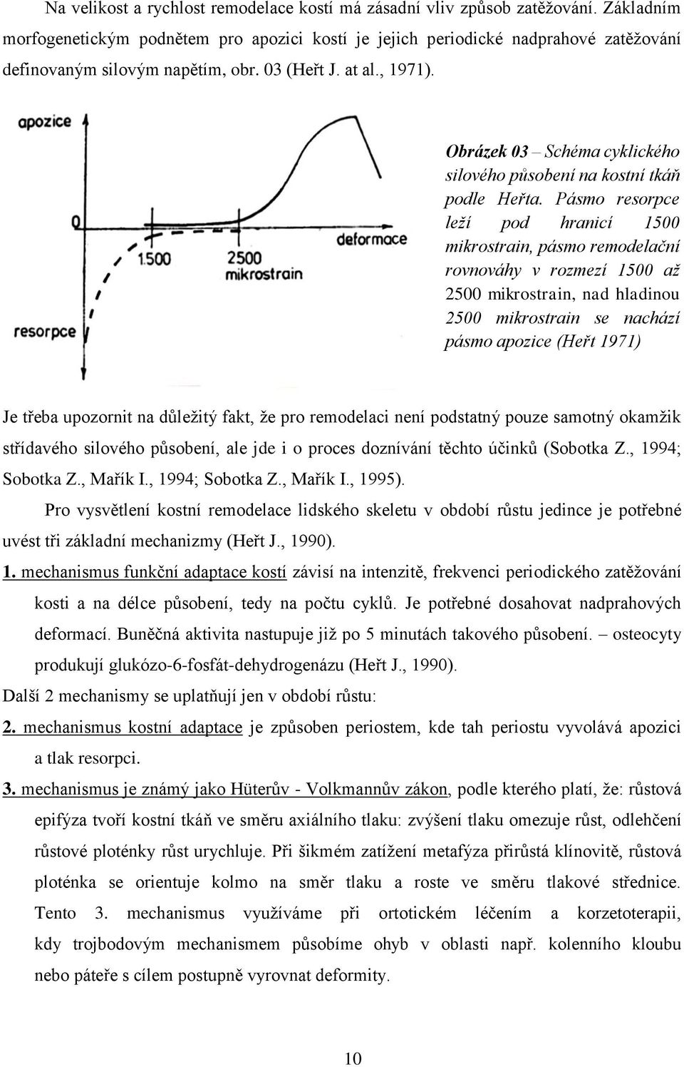 Obrázek 03 Schéma cyklického silového působení na kostní tkáň podle Heřta.