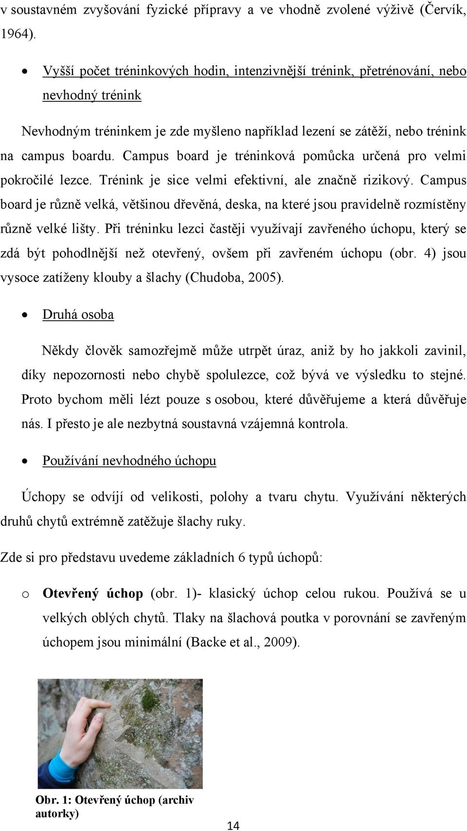Campus board je tréninková pomůcka určená pro velmi pokročilé lezce. Trénink je sice velmi efektivní, ale značně rizikový.