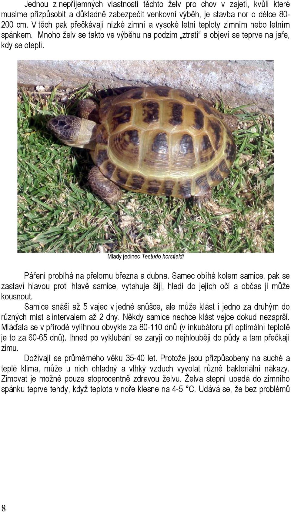 Evropské suchozemské želvy jejich chov a odchov - PDF Stažení zdarma