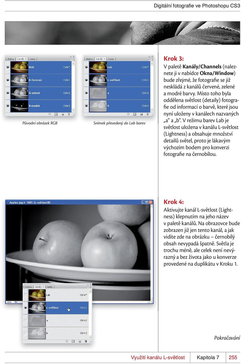 V režimu barev Lab je světlost uložena v kanálu L-světlost (Lightness) a obsahuje množství detailů světel, proto je lákavým výchozím bodem pro konverzi fotografie na černobílou.