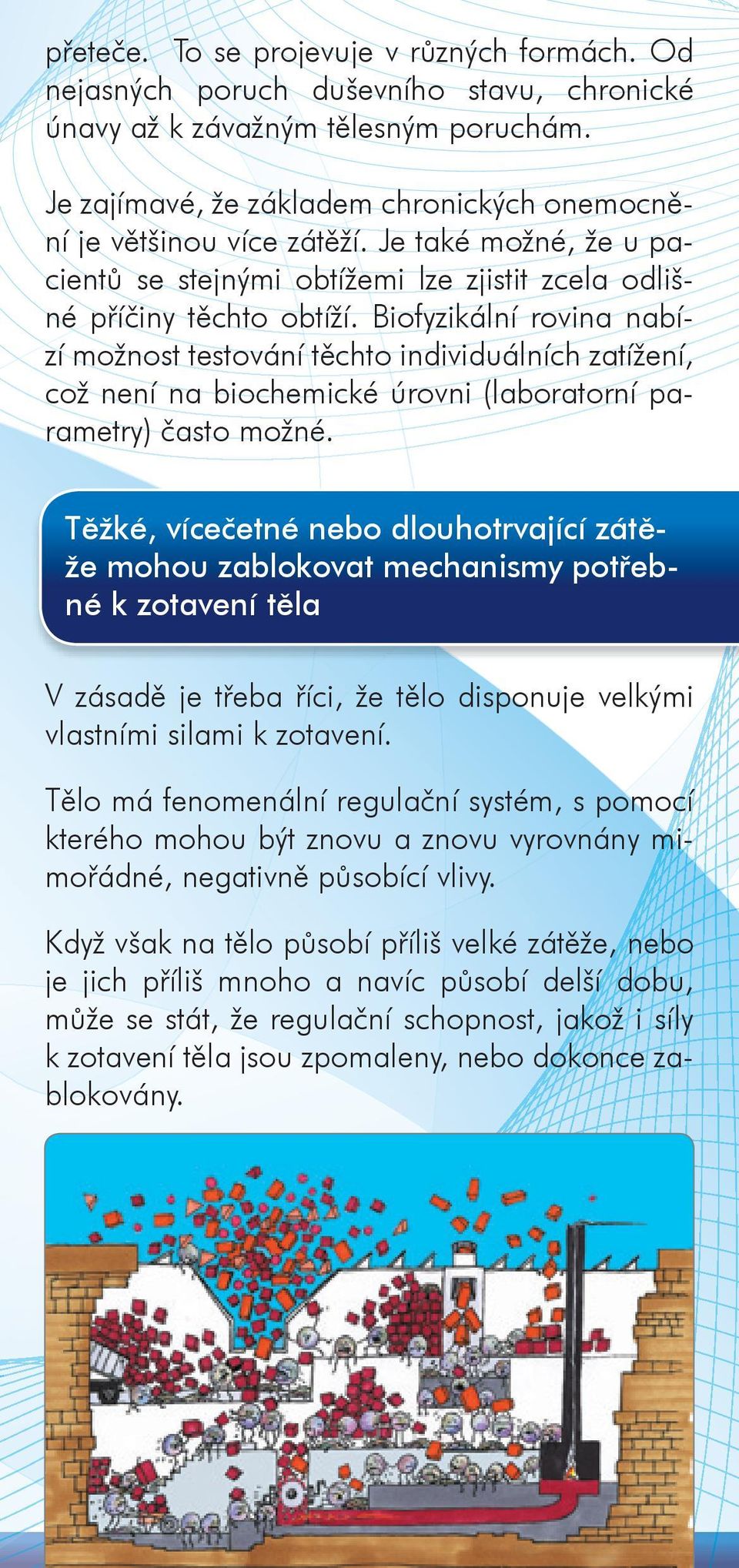 Biofyzikální rovina nabízí možnost testování těchto individuálních zatížení, což není na biochemické úrovni (laboratorní parametry) často možné.