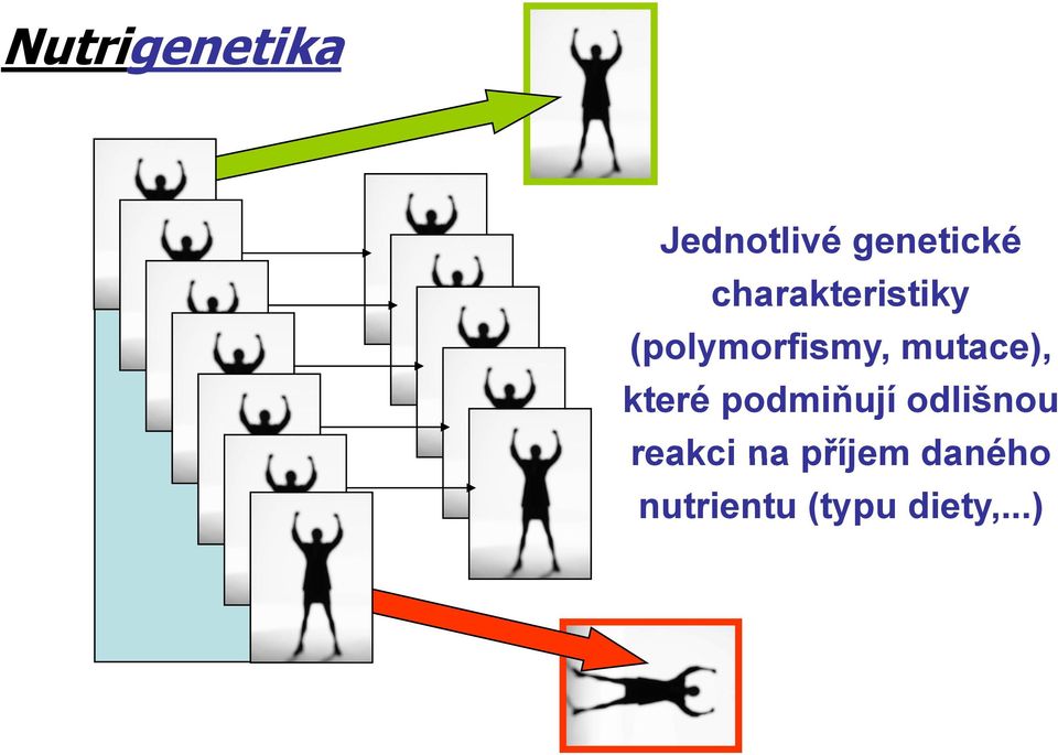 mutace), které podmiňují odlišnou