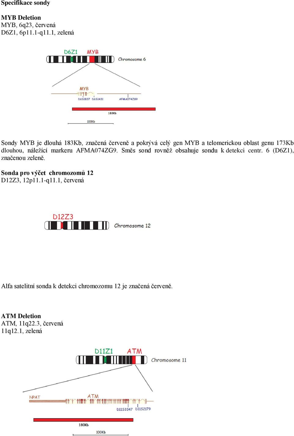 dlouhou, náležící markeru AFMA074ZG9. Směs sond rovněž obsahuje sondu k detekci centr. 6 (D6Z1), značenou zeleně.