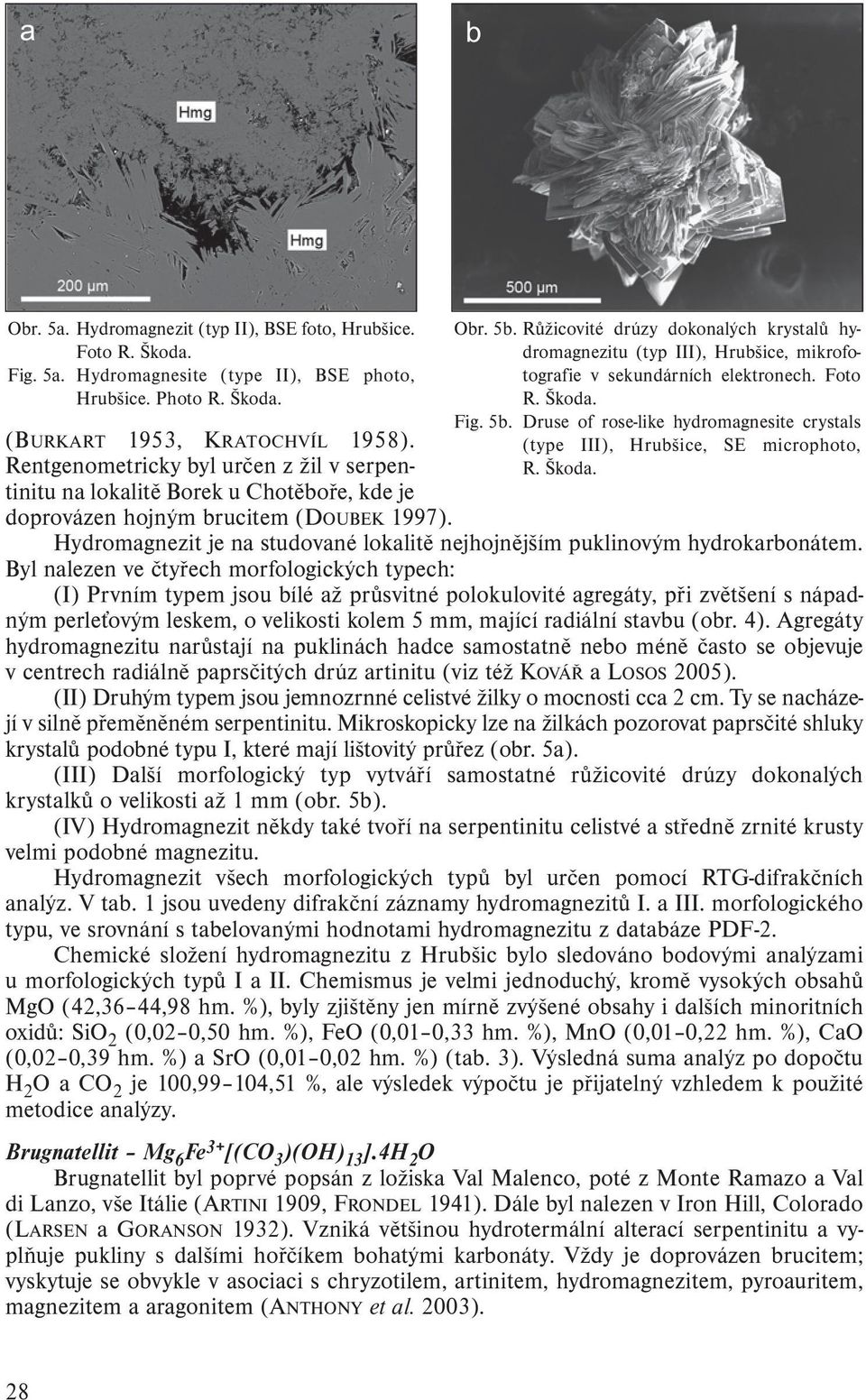 Růžicovité drúzy dokonalých krystalů hydromagnezitu (typ III), Hrubšice, mikrofotografie v sekundárních elektronech. Foto R. Škoda. Fig. 5b.
