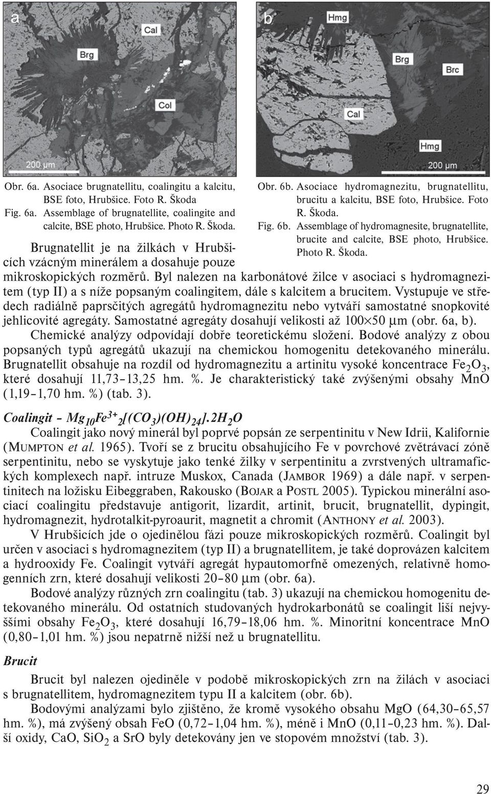 Photo R. Škoda. mikroskopických rozměrů. Byl nalezen na karbonátové žilce v asociaci s hydromagnezitem (typ II) a s níže popsaným coalingitem, dále s kalcitem a brucitem.
