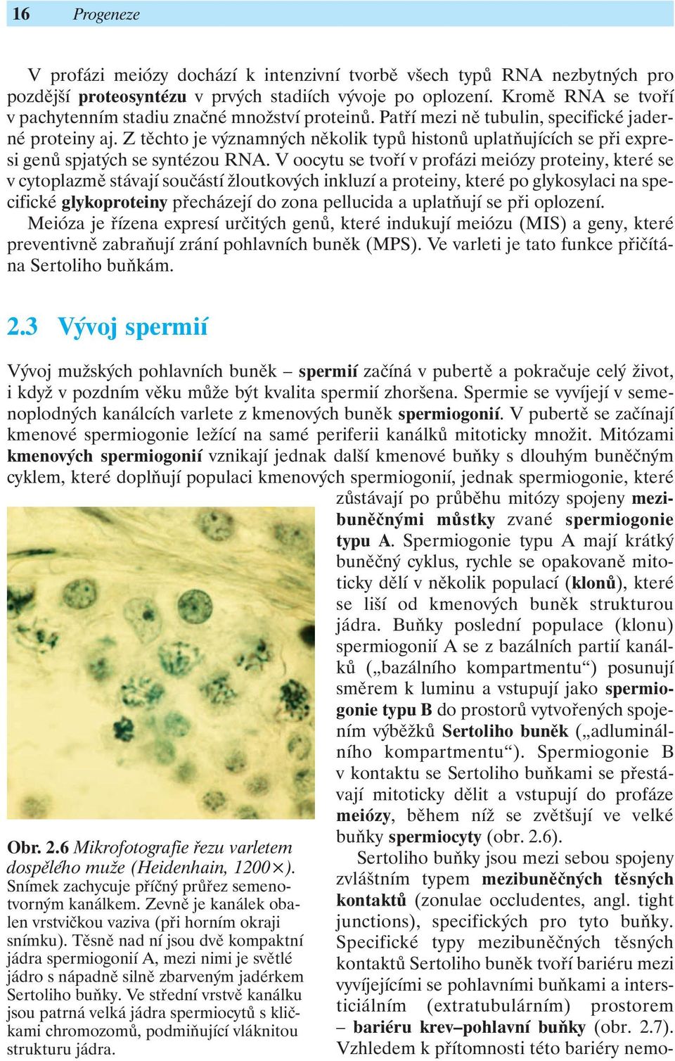 Z těchto je významných několik typů histonů uplatňujících se při expresi genů spjatých se syntézou RNA.