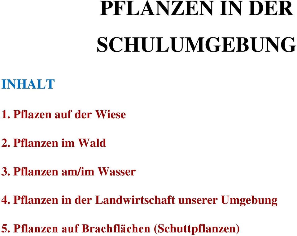 Pflanzen am/im Wasser 4.